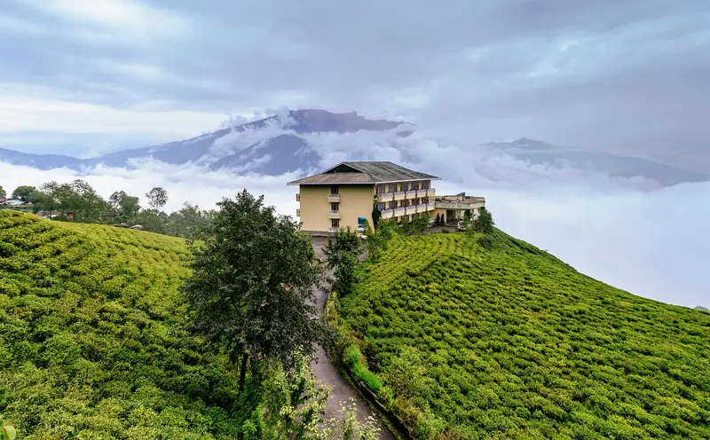 The terraced slopes of Temi Tea Garden near Namchi